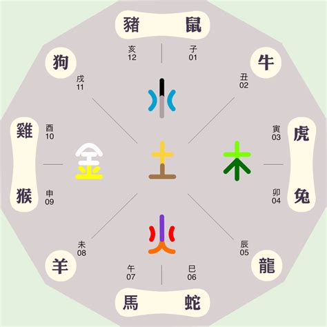 紫字五行|紫的五行属性属什么，紫在五行中属什么？